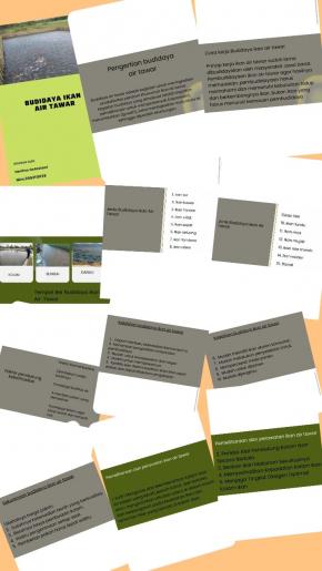 Budidaya Ikan Air Tawar